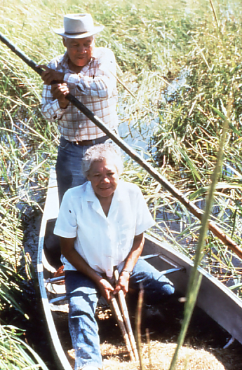 Wild Rice Harvest